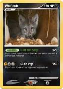 Wolf cub