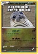 toileto foca
