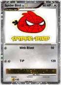 Spider Bird Spider Bird