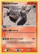 Bearded Dragon