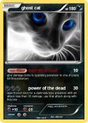 ghost cat