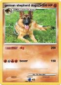 german shepherd