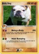 Bully Dog