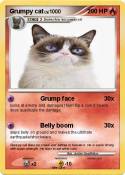 Grumpy cat