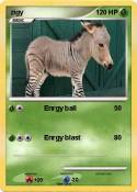 zigy