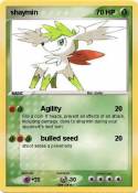 shaymin shaymin