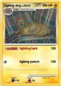 lighing dog