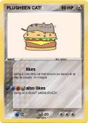 PLUSHEEN CAT!