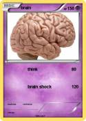 brain
