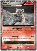 Tiger