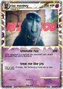 rizz monkey
