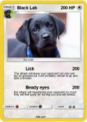 Black Lab
