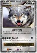 Wolf