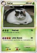 FatCat