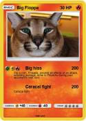 Big Floppa