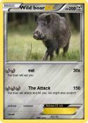 Wild boar