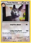 Kevin The Cat