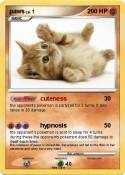 paws