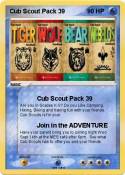 Cub Scout Pack