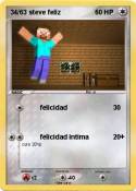 34/63 steve