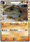 Tuatara