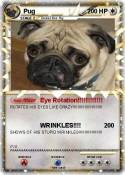Pug