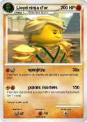 Lloyd ninja