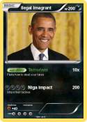 Ilegal Imagrant