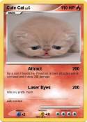 Cute Cat