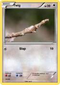 Twig Twig