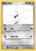 cellar spider