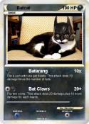 Batcat