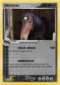 wild horse
