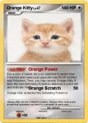 Orange Kitty