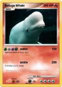 Beluga Whale