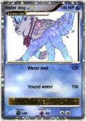 Water dog