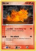 fire cat