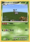 Mine turtle on
