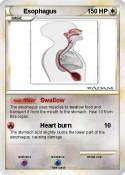 Esophagus