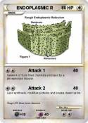 ENDOPLASMIC R