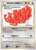 ENDOPLASMIC S