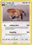 meme cat