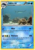 manta ray