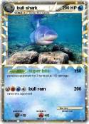 bull shark