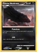Plasma Membrane