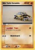 Mini Turtle