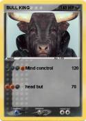BULL KING