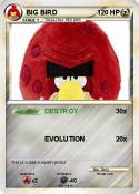 BIG BIRD
