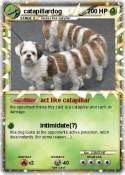 catapillardog