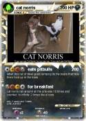 cat norris